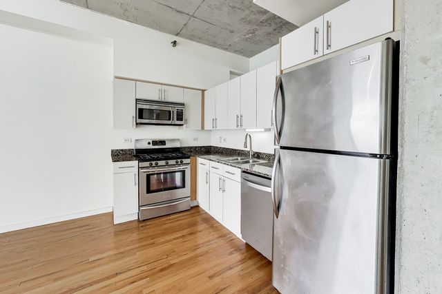 1620 S Michigan Avenue 1124, Chicago, IL 60616