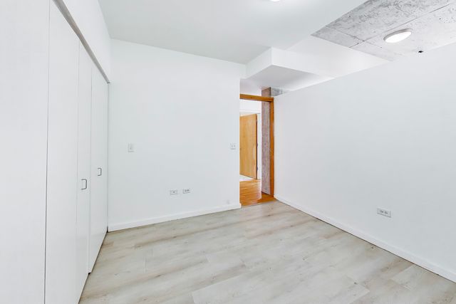 1620 S Michigan Avenue 1124, Chicago, IL 60616