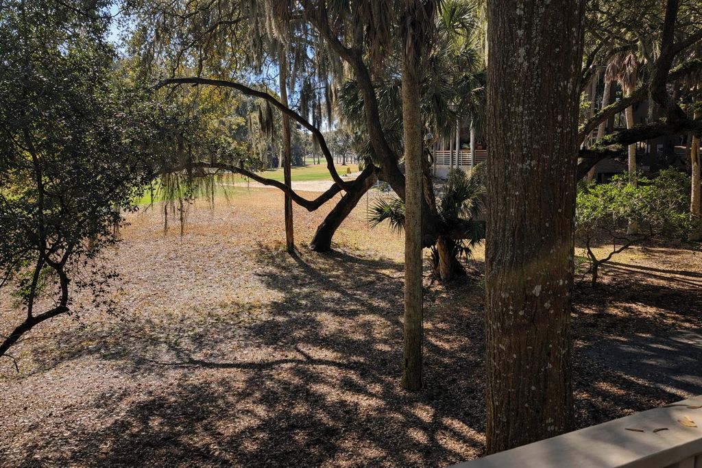 Image 20 of property listing at 3 Dunecrest Villa Trace Trail 3, Seabrook Island, SC 29455