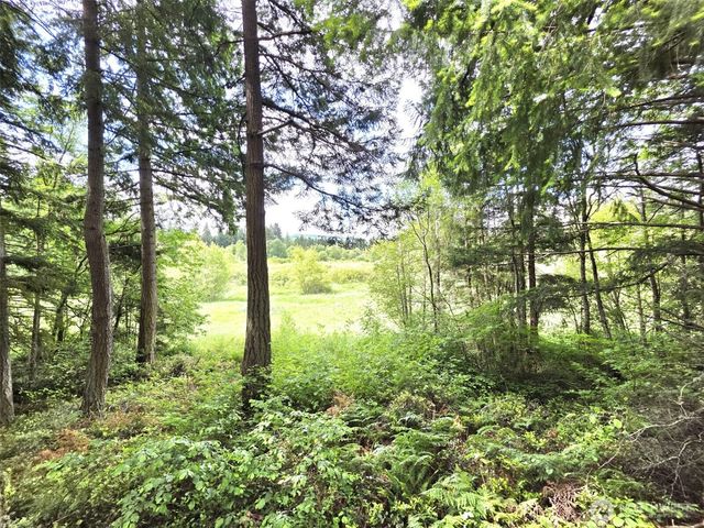 17743 Clear Lake Boulevard SE, Yelm, WA 98597