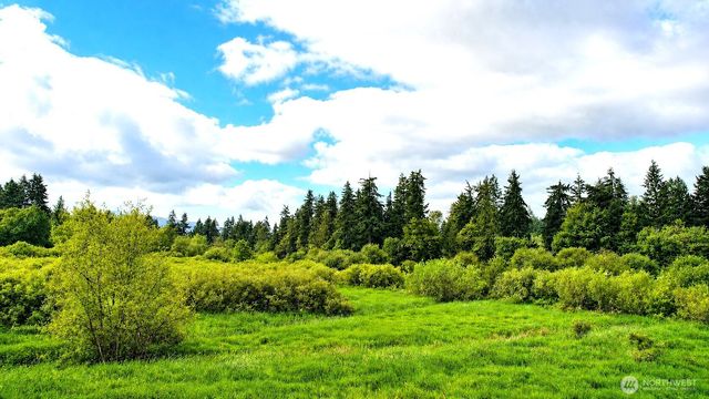 17743 Clear Lake Boulevard SE, Yelm, WA 98597