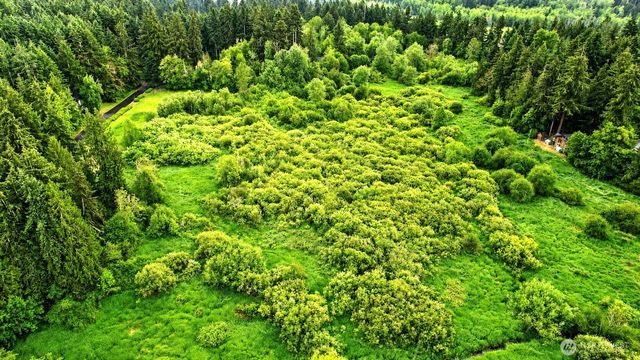 17743 Clear Lake Boulevard SE, Yelm, WA 98597