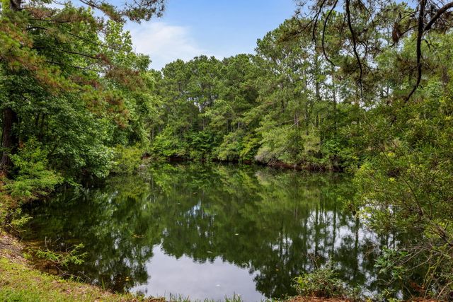 1478 Diamond Boulevard, Mount Pleasant, SC 29466