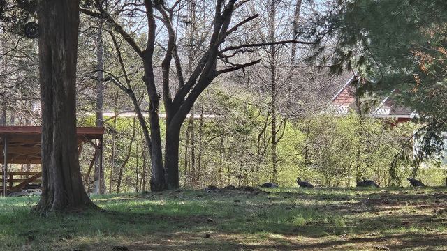 2769 New Hall Rd, Greenbrier, TN 37073