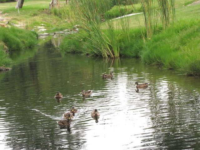 223 AVENIDA MARJOCA A, Laguna Woods, CA 92637