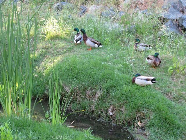 223 AVENIDA MARJOCA A, Laguna Woods, CA 92637