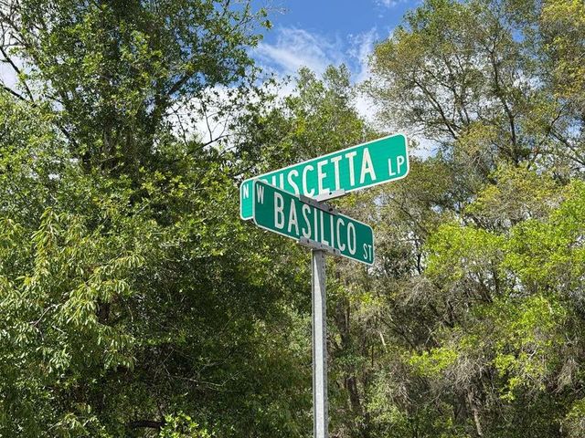 8549 N BUSCETTA LOOP, Crystal River, FL 34428