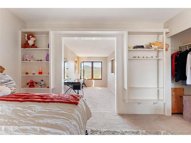 89 Jones Creek Ln, Pine, CO 80470