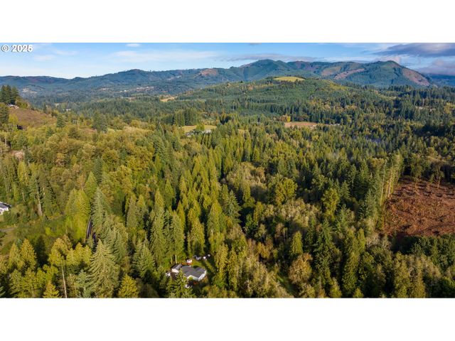 0 Ne Cedar Creek Rd, Woodland, WA 98674