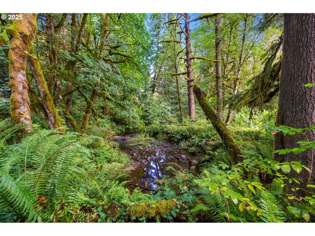 0 Ne Cedar Creek Rd, Woodland, WA 98674
