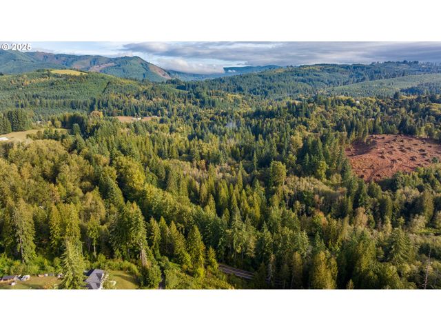 0 Ne Cedar Creek Rd, Woodland, WA 98674