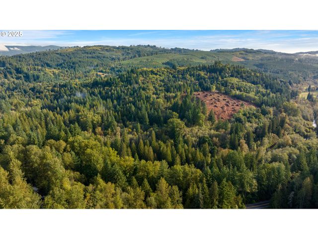 0 Ne Cedar Creek Rd, Woodland, WA 98674