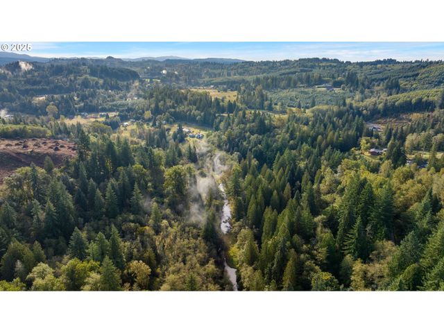 0 Ne Cedar Creek Rd, Woodland, WA 98674
