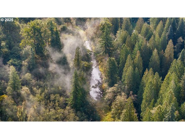 0 Ne Cedar Creek Rd, Woodland, WA 98674