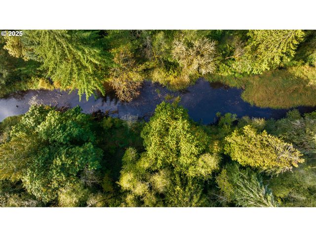 0 Ne Cedar Creek Rd, Woodland, WA 98674