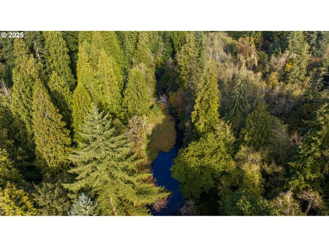 0 Ne Cedar Creek Rd, Woodland, WA 98674