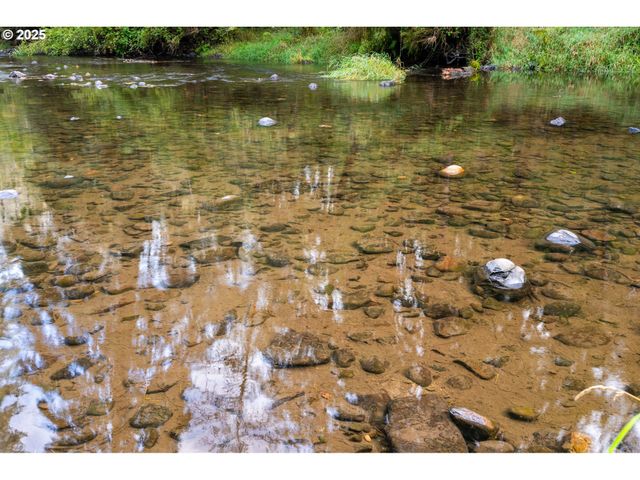 0 Ne Cedar Creek Rd, Woodland, WA 98674