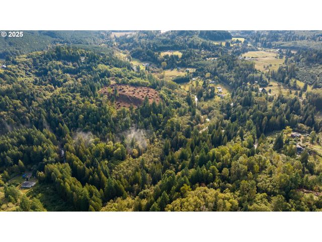 0 Ne Cedar Creek Rd, Woodland, WA 98674