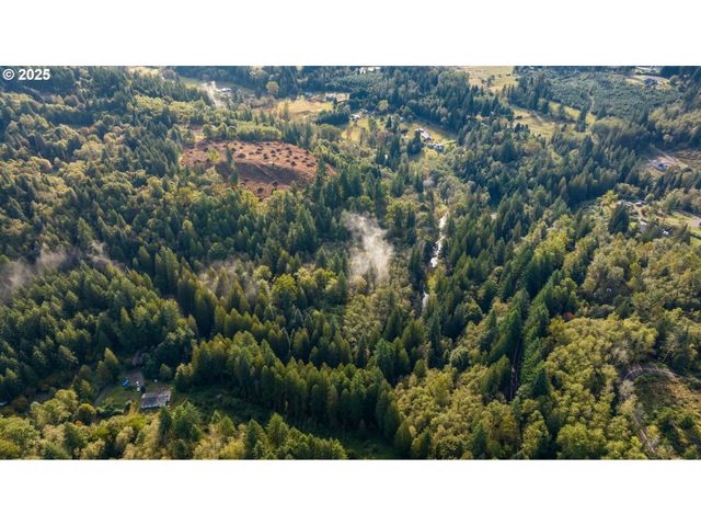 0 Ne Cedar Creek Rd, Woodland, WA 98674