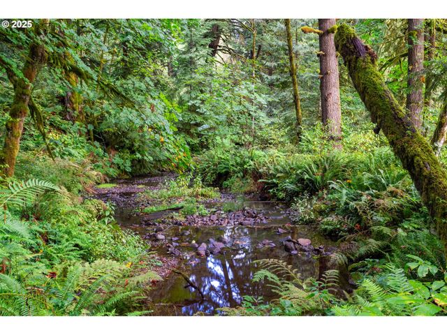 0 Ne Cedar Creek Rd, Woodland, WA 98674