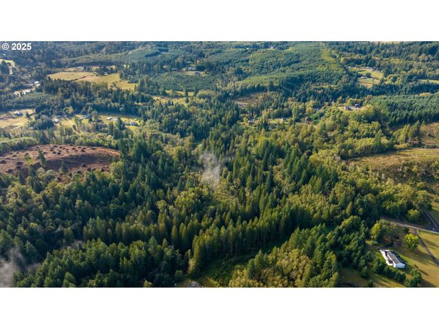 0 Ne Cedar Creek Rd, Woodland, WA 98674