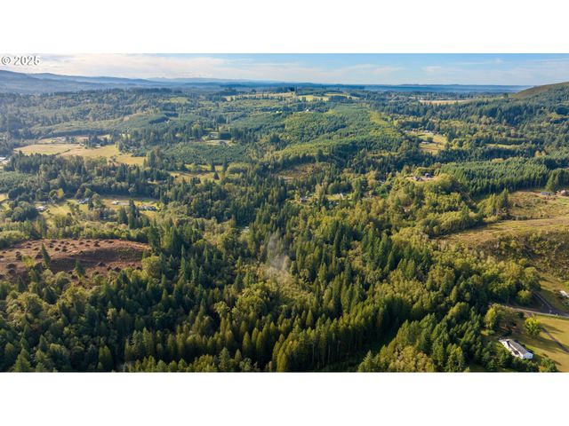 0 Ne Cedar Creek Rd, Woodland, WA 98674