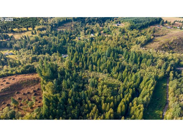 0 Ne Cedar Creek Rd, Woodland, WA 98674