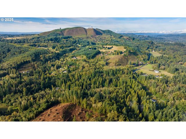 0 Ne Cedar Creek Rd, Woodland, WA 98674