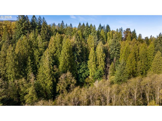 0 Ne Cedar Creek Rd, Woodland, WA 98674