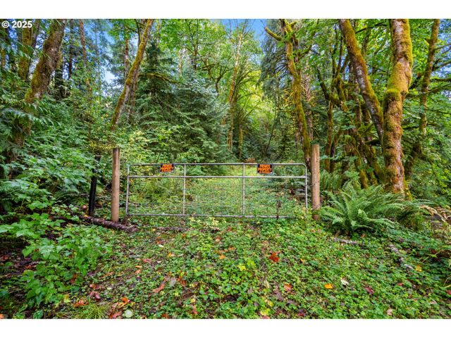 0 Ne Cedar Creek Rd, Woodland, WA 98674