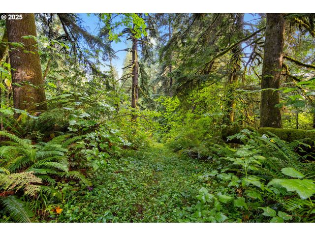0 Ne Cedar Creek Rd, Woodland, WA 98674
