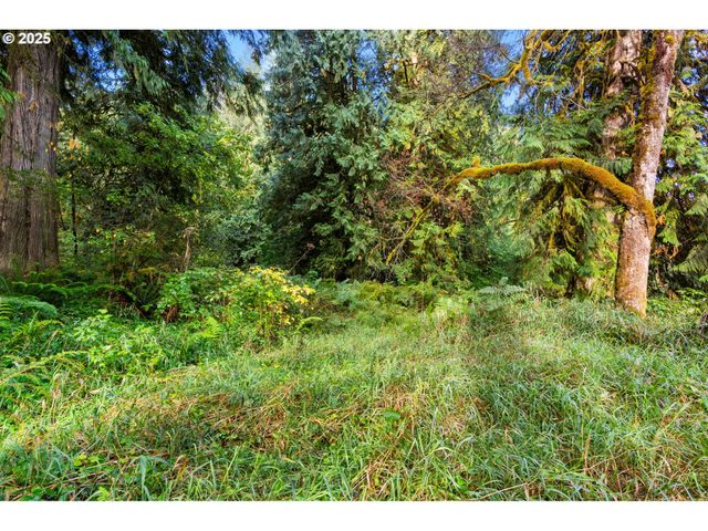 0 Ne Cedar Creek Rd, Woodland, WA 98674