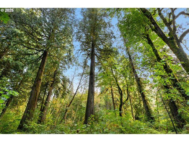 0 Ne Cedar Creek Rd, Woodland, WA 98674