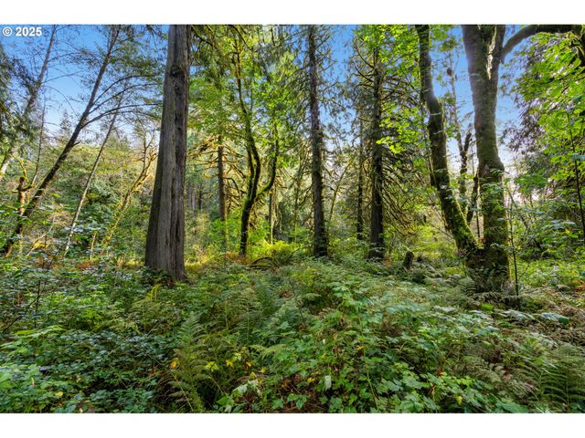 0 Ne Cedar Creek Rd, Woodland, WA 98674