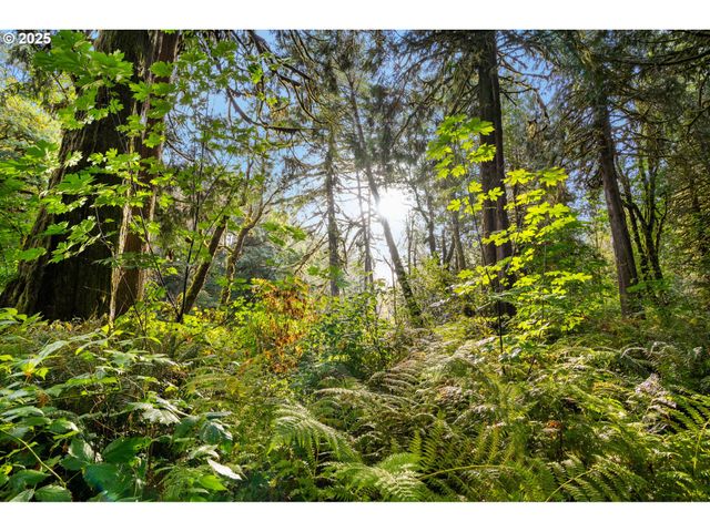0 Ne Cedar Creek Rd, Woodland, WA 98674