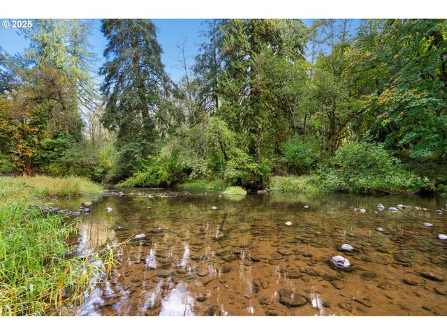 0 Ne Cedar Creek Rd, Woodland, WA 98674