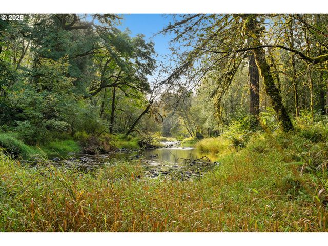 0 Ne Cedar Creek Rd, Woodland, WA 98674