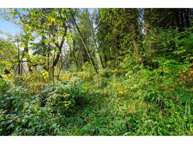 0 Ne Cedar Creek Rd, Woodland, WA 98674