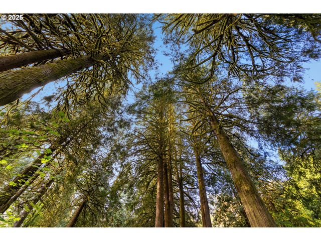 0 Ne Cedar Creek Rd, Woodland, WA 98674