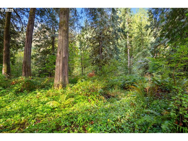 0 Ne Cedar Creek Rd, Woodland, WA 98674