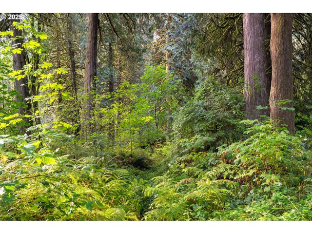 0 Ne Cedar Creek Rd, Woodland, WA 98674