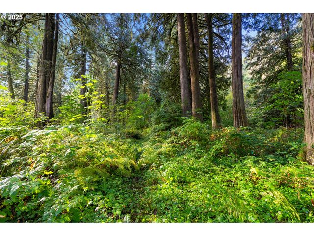 0 Ne Cedar Creek Rd, Woodland, WA 98674