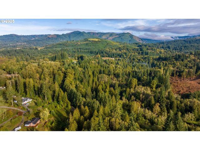 0 Ne Cedar Creek Rd, Woodland, WA 98674