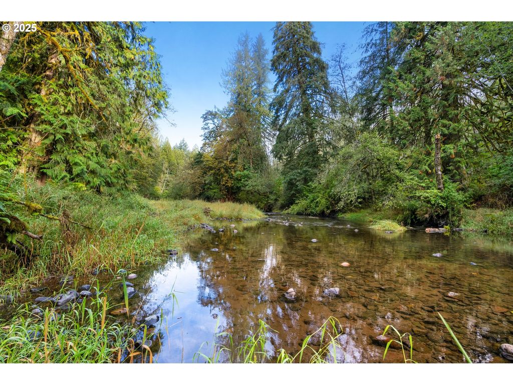 0 Ne Cedar Creek Rd, Woodland, WA 98674