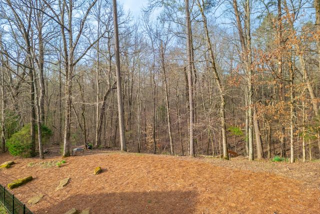 924 Traditions Drive, Chattanooga, TN 37415