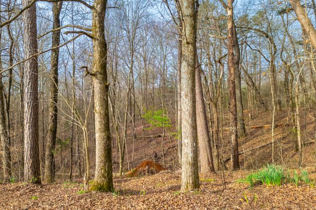 924 Traditions Drive, Chattanooga, TN 37415