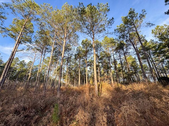 T-2 Cr 4302, De Kalb, TX 75559