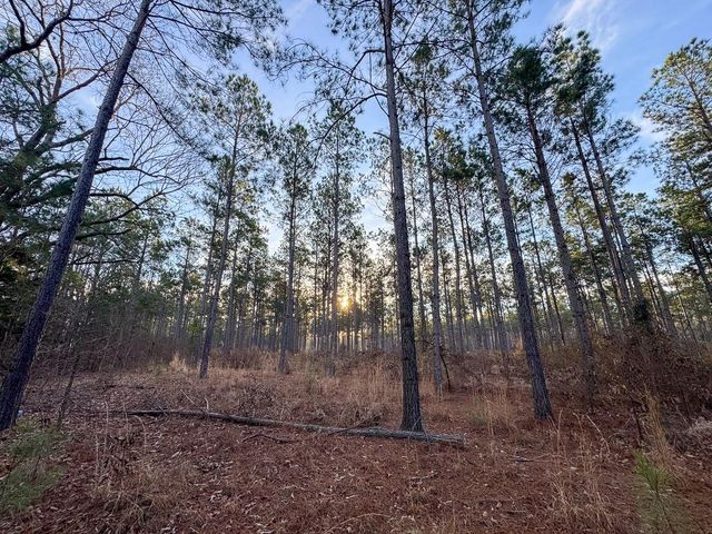 T-2 Cr 4302, De Kalb, TX 75559