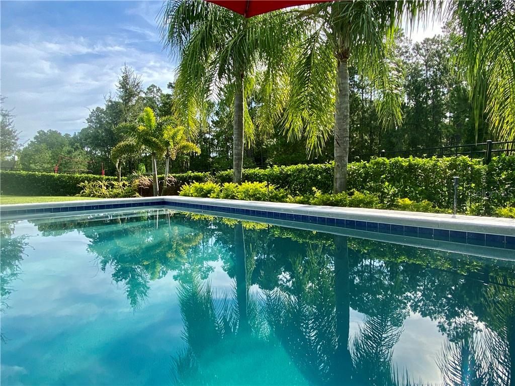 Image 21 of property listing at 13173 LOWER HARDEN AVENUE, Orlando, FL 32827