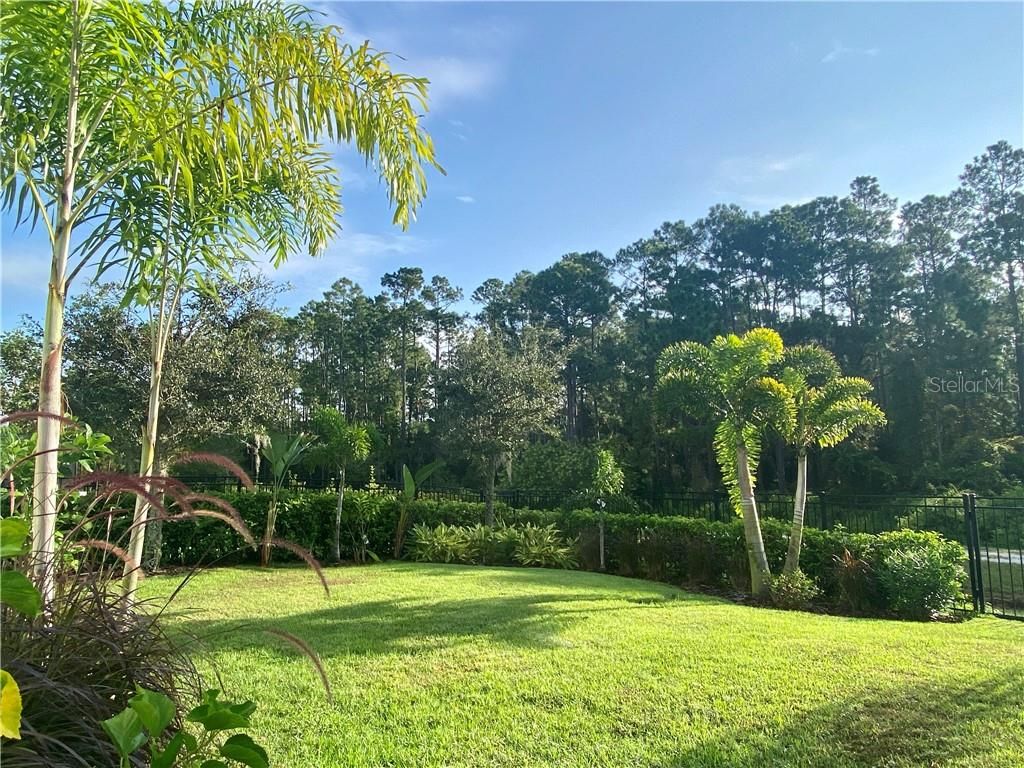 Image 25 of property listing at 13173 LOWER HARDEN AVENUE, Orlando, FL 32827